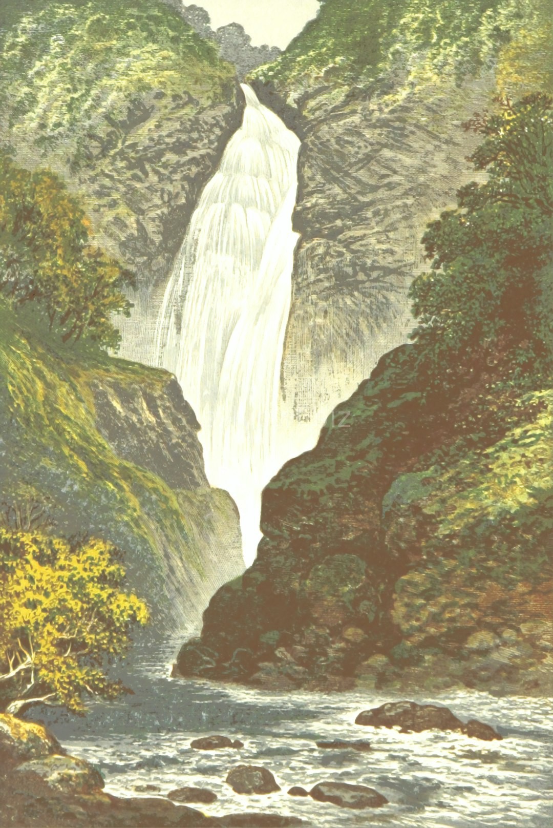 Detail Illustration